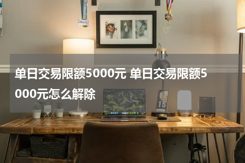 单日交易限额5000元 单日交易限额5000元怎么解除