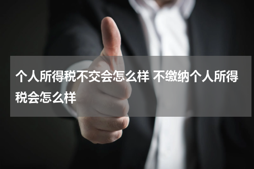 个人所得税不交会怎么样 不缴纳个人所得税会怎么样