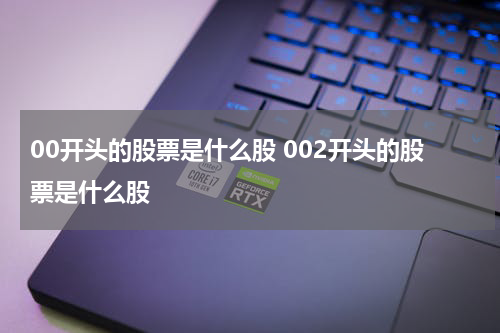 00开头的股票是什么股 002开头的股票是什么股