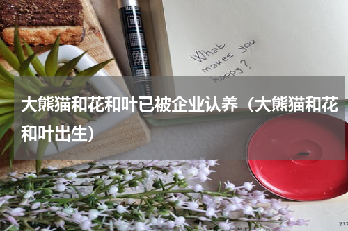大熊猫和花和叶已被企业认养（大熊猫和花和叶出生）
