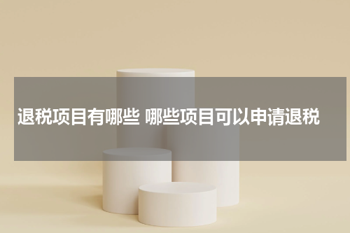 退税项目有哪些 哪些项目可以申请退税