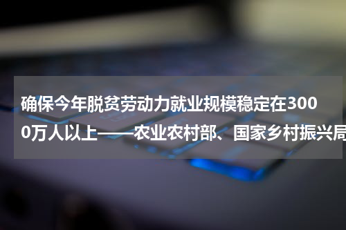 确保今年脱贫劳动力就业规模稳定在3000万人以上——农业农村部、国家乡村振兴局有关负责人回应巩固脱贫热点问题