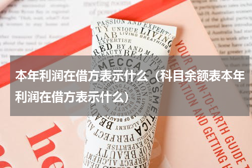 本年利润在借方表示什么（科目余额表本年利润在借方表示什么）