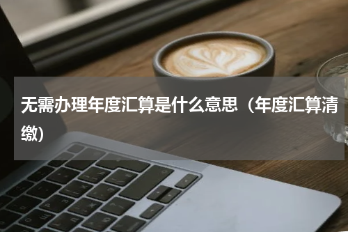 无需办理年度汇算是什么意思（年度汇算清缴）