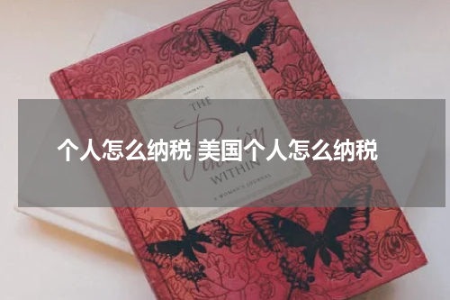 个人怎么纳税 美国个人怎么纳税
