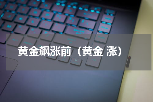 黄金飙涨前(黄金 涨)