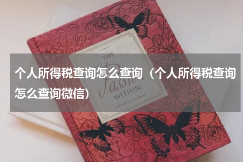 个人所得税查询怎么查询（个人所得税查询怎么查询微信）