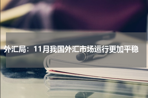 外汇局：11月我国外汇市场运行更加平稳