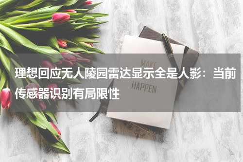 理想回应无人陵园雷达显示全是人影：当前传感器识别有局限性