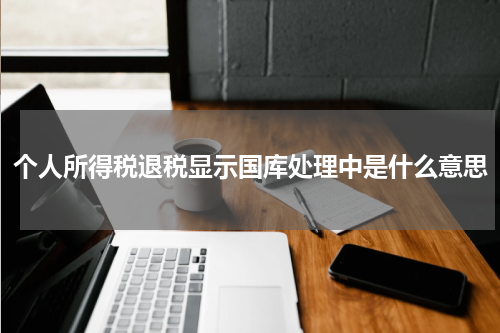 个人所得税退税显示国库处理中是什么意思