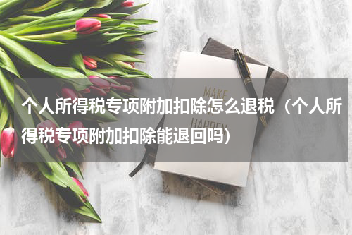 个人所得税专项附加扣除怎么退税(个人所得税专项附加扣除能退回吗)