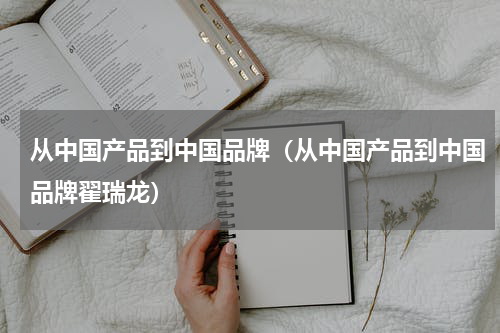 从中国产品到中国品牌（从中国产品到中国品牌翟瑞龙）