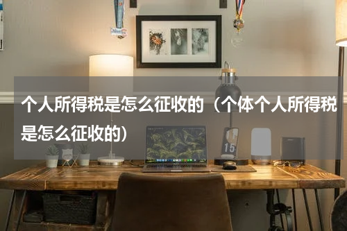 个人所得税是怎么征收的（个体个人所得税是怎么征收的）