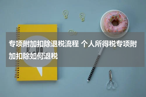 专项附加扣除退税流程 个人所得税专项附加扣除如何退税