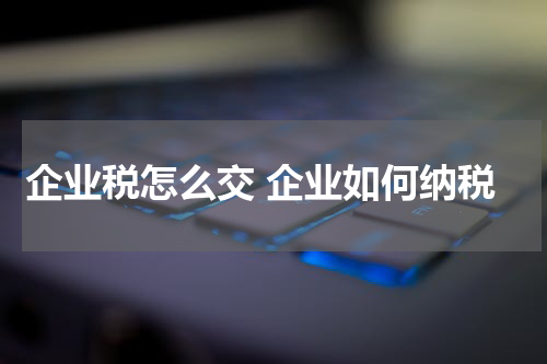 企业税怎么交 企业如何纳税