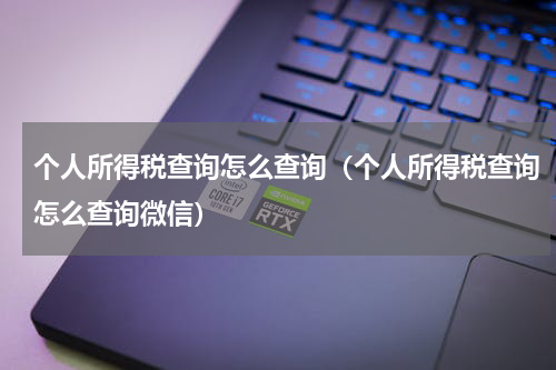 个人所得税查询怎么查询（个人所得税查询怎么查询微信）
