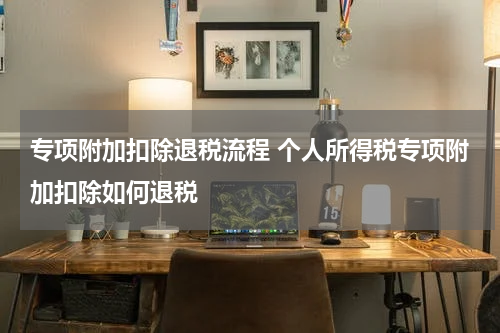 专项附加扣除退税流程 个人所得税专项附加扣除如何退税