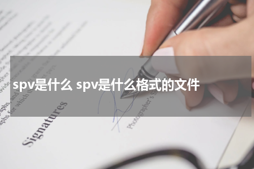 spv是什么 spv是什么格式的文件