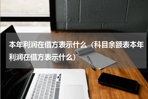 本年利润在借方表示什么(科目余额表本年利润在借方表示什么)