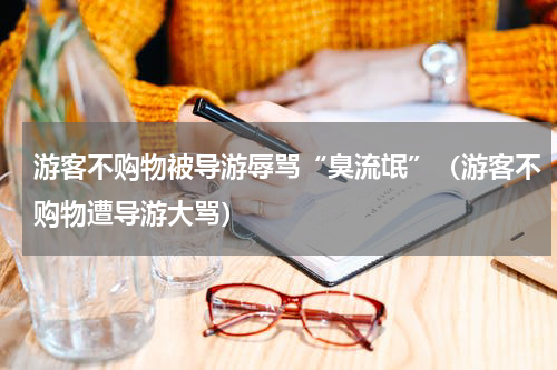 游客不购物被导游辱骂“臭流氓”（游客不购物遭导游大骂）