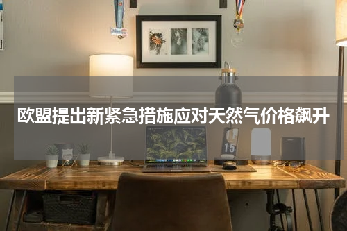 欧盟提出新紧急措施应对天然气价格飙升