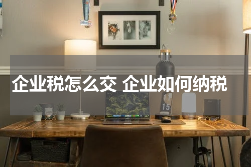 企业税怎么交 企业如何纳税