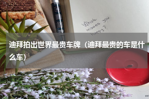 迪拜拍出世界最贵车牌（迪拜最贵的车是什么车）