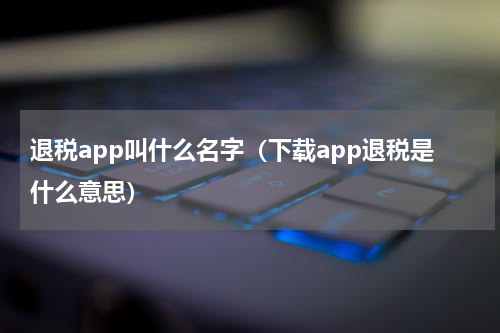 退税app叫什么名字(下载app退税是什么意思)