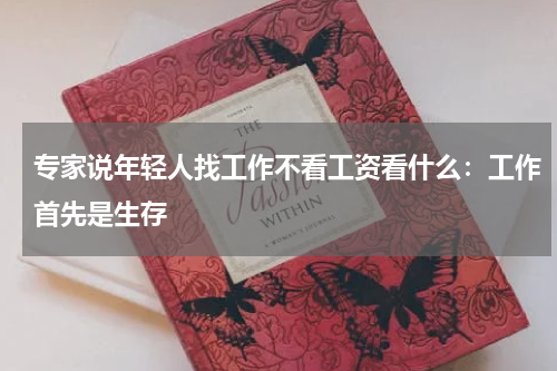专家说年轻人找工作不看工资看什么:工作首先是生存