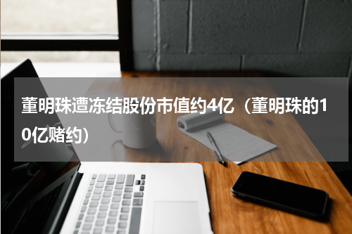 董明珠遭冻结股份市值约4亿(董明珠的10亿赌约)