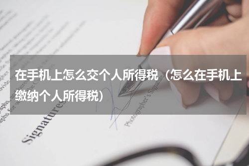 在手机上怎么交个人所得税(怎么在手机上缴纳个人所得税)