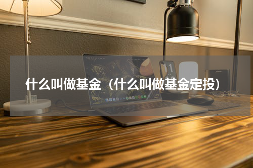 什么叫做基金（什么叫做基金定投）