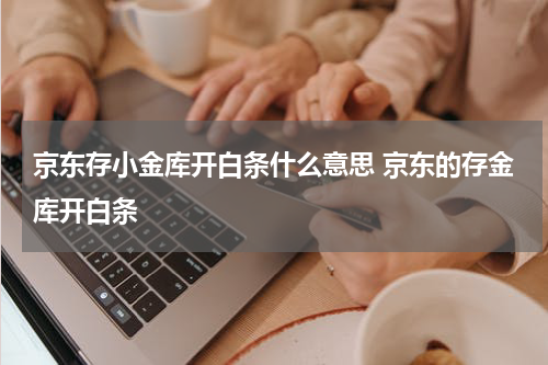 京东存小金库开白条什么意思 京东的存金库开白条