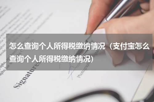 怎么查询个人所得税缴纳情况（支付宝怎么查询个人所得税缴纳情况）