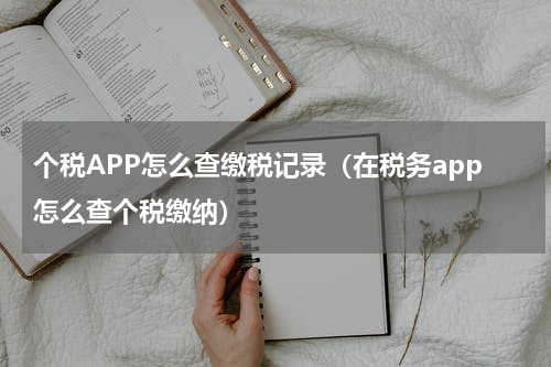 个税APP怎么查缴税记录（在税务app怎么查个税缴纳）