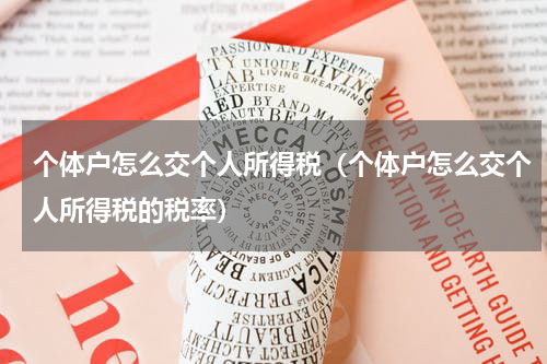 个体户怎么交个人所得税（个体户怎么交个人所得税的税率）