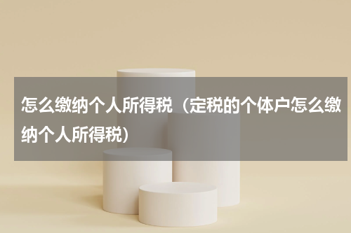 怎么缴纳个人所得税（定税的个体户怎么缴纳个人所得税）