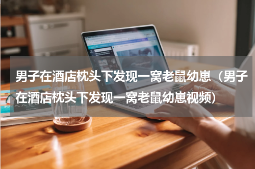 男子在酒店枕头下发现一窝老鼠幼崽（男子在酒店枕头下发现一窝老鼠幼崽视频）