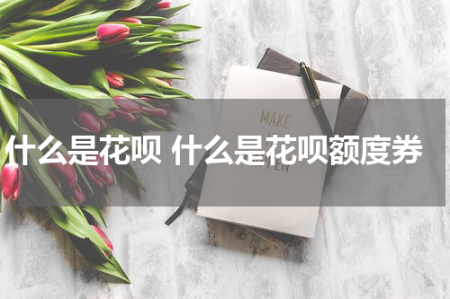 什么是花呗 什么是花呗额度券