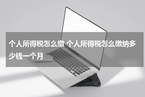 个人所得税怎么缴 个人所得税怎么缴纳多少钱一个月