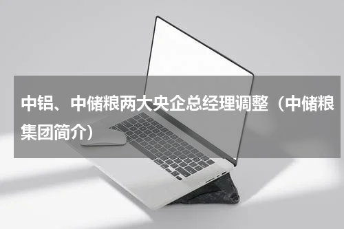 中铝、中储粮两大央企总经理调整（中储粮集团简介）