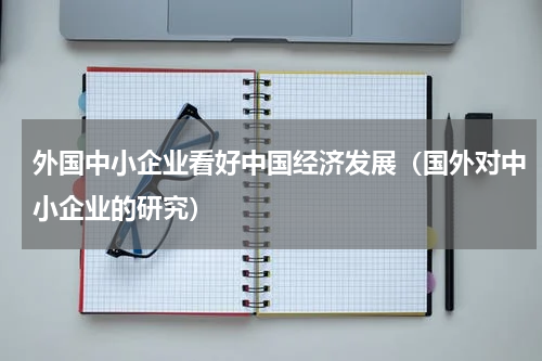 外国中小企业看好中国经济发展(国外对中小企业的研究)