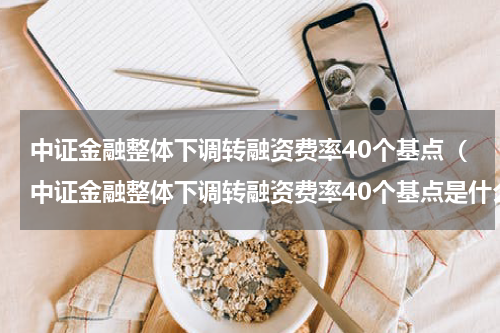 中证金融整体下调转融资费率40个基点(中证金融整体下调转融资费率40个基点是什么)