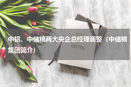 中铝、中储粮两大央企总经理调整（中储粮集团简介）