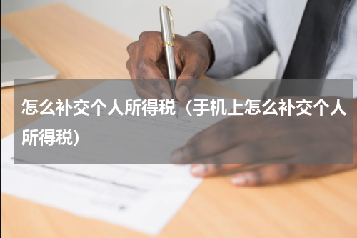 怎么补交个人所得税（手机上怎么补交个人所得税）