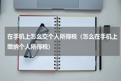 在手机上怎么交个人所得税（怎么在手机上缴纳个人所得税）