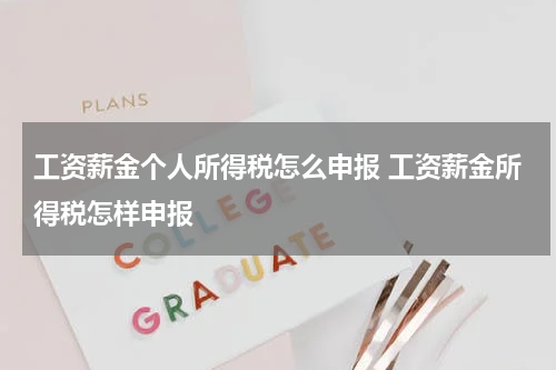工资薪金个人所得税怎么申报 工资薪金所得税怎样申报