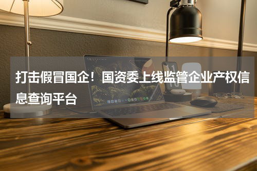 打击假冒国企！国资委上线监管企业产权信息查询平台