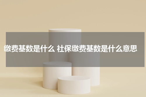 缴费基数是什么 社保缴费基数是什么意思