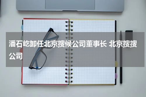 潘石屹卸任北京搜候公司董事长 北京搜搜公司